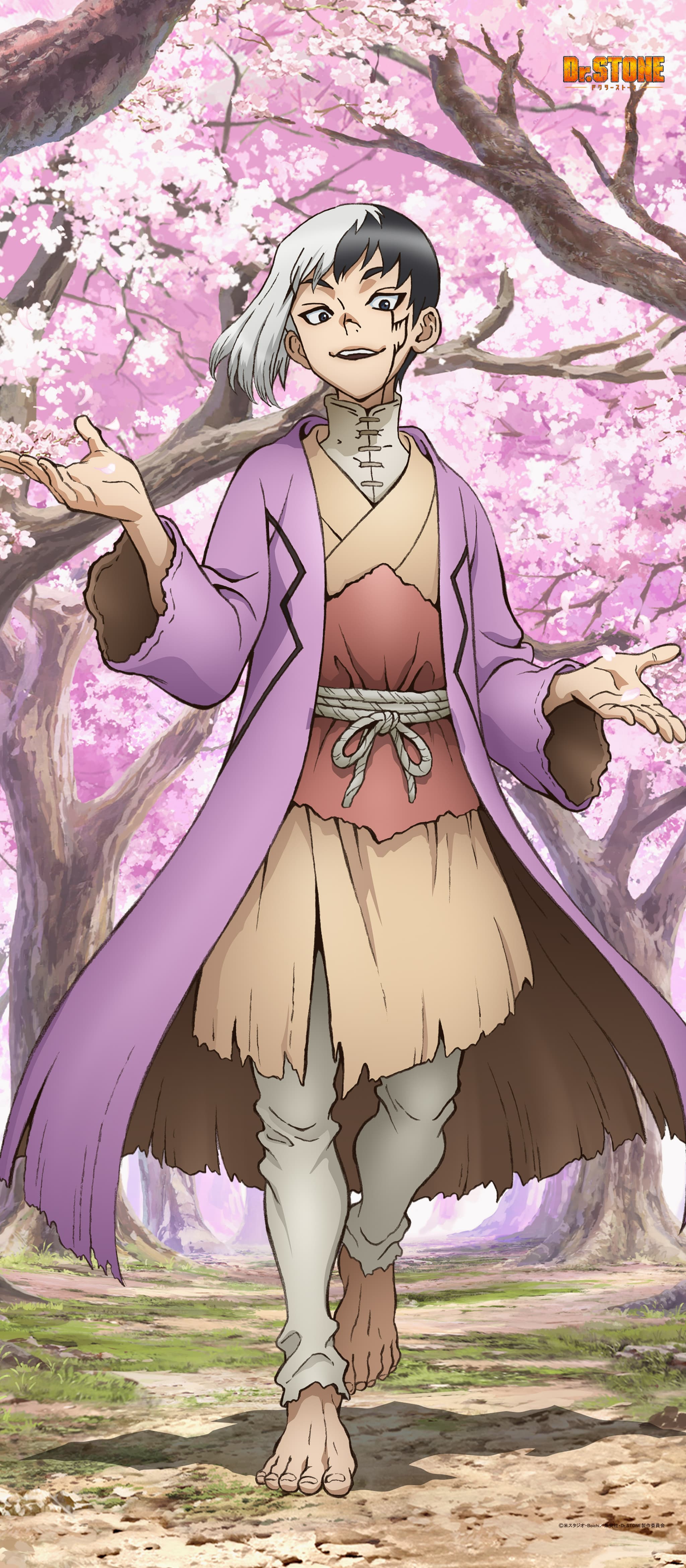 Dr.STONE 【描き下ろし】BIGタペストリーあさぎりゲン(桜)