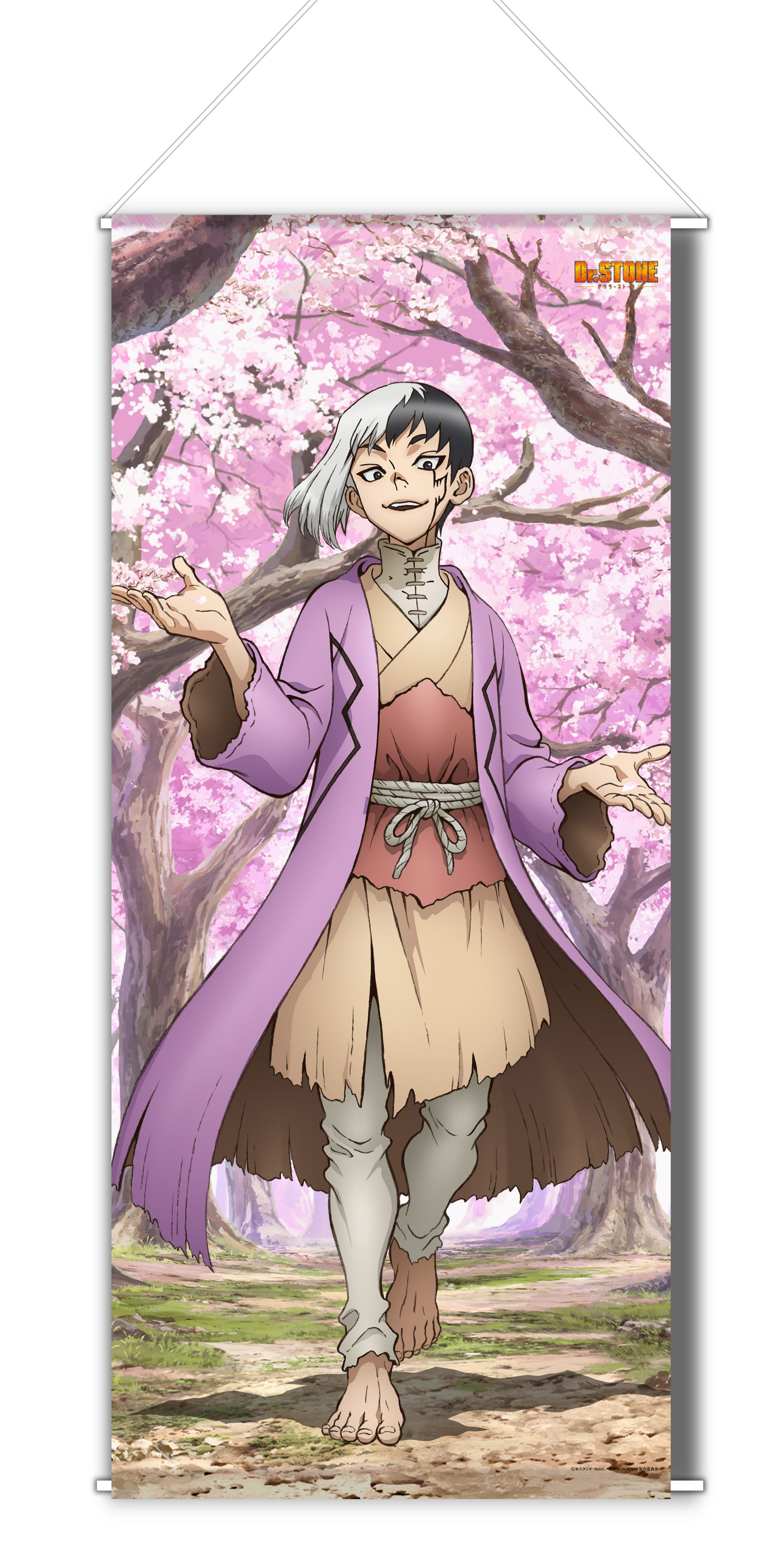 Dr.STONE 【描き下ろし】BIGタペストリーあさぎりゲン(桜)