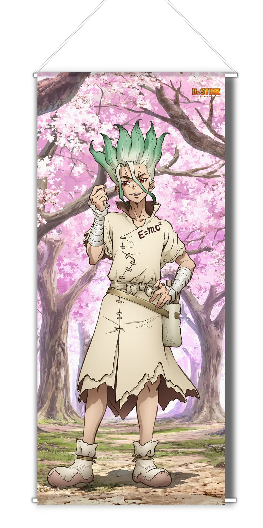 Dr.STONE 【描き下ろし】BIGタペストリー石神千空（桜）
