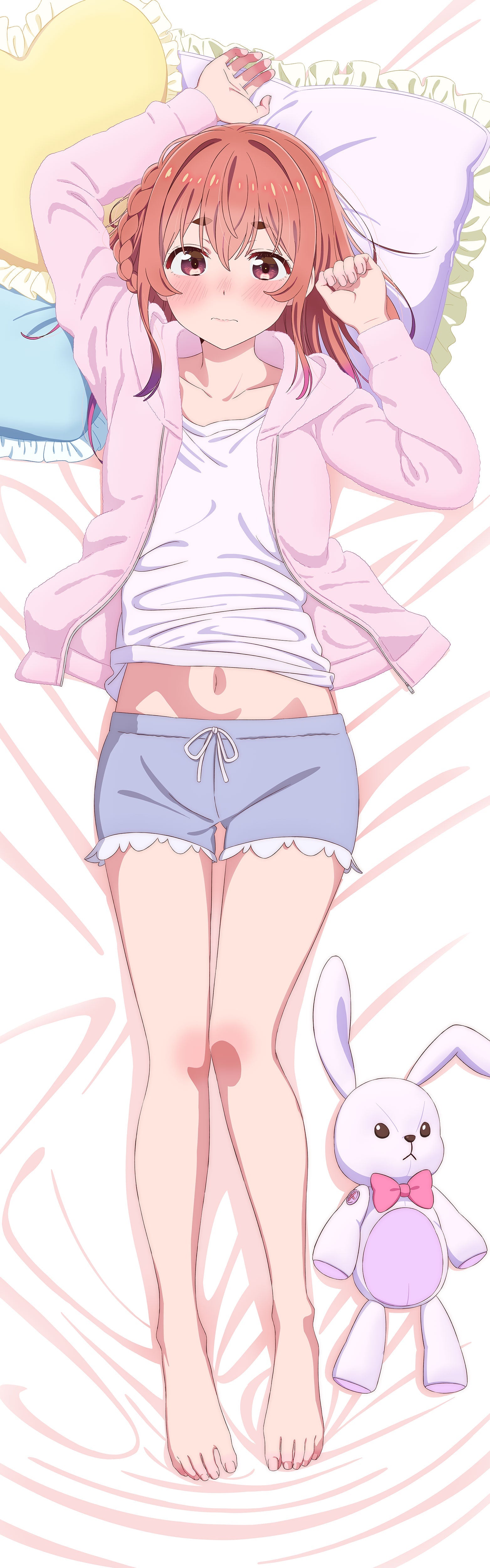 彼女、お借りします　描き下ろし抱き枕カバープレミアム　桜沢墨　夢オチ 彼女、お借りします 【描き下ろし】抱き枕カバー桜沢墨