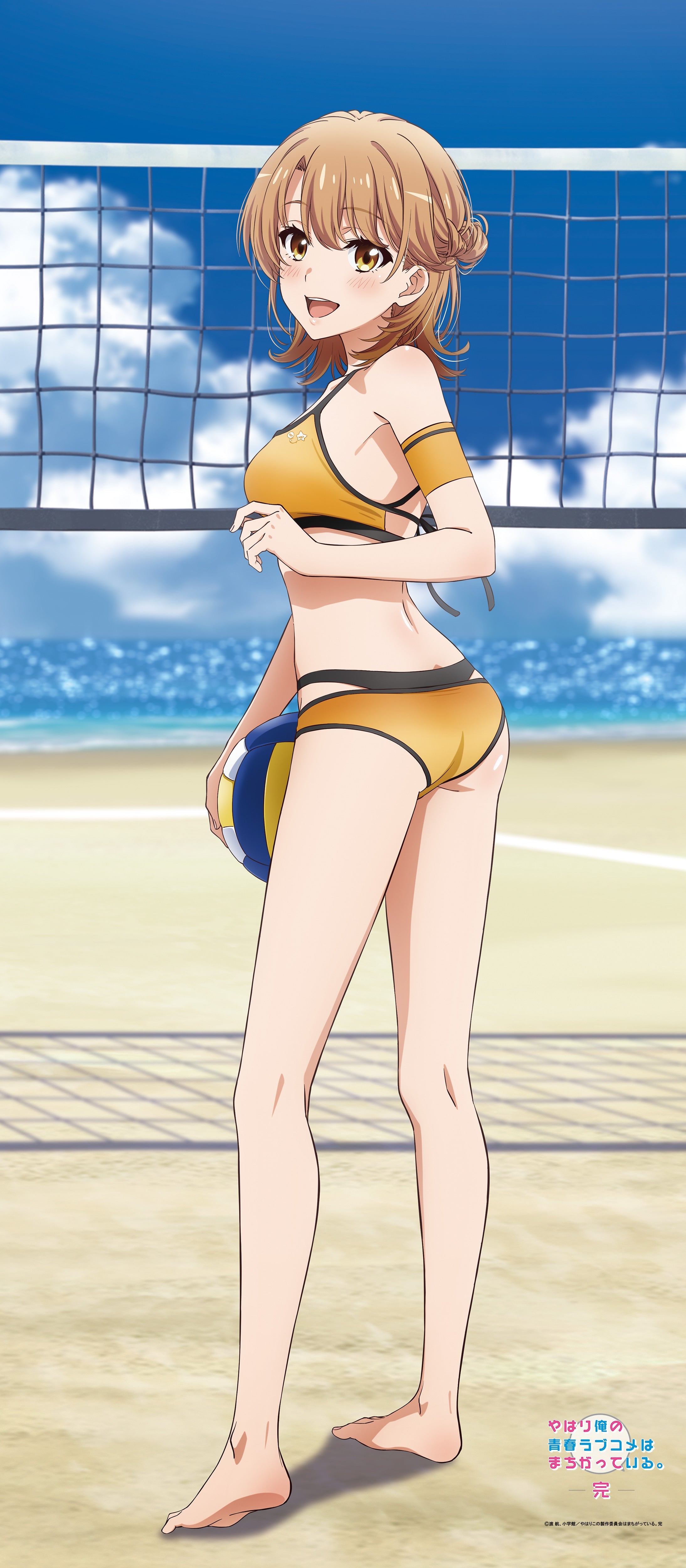 やはり俺の青春ラブコメはまちがっている。完 【描き下ろし】BIGタペストリーいろは(ビーチバレー)