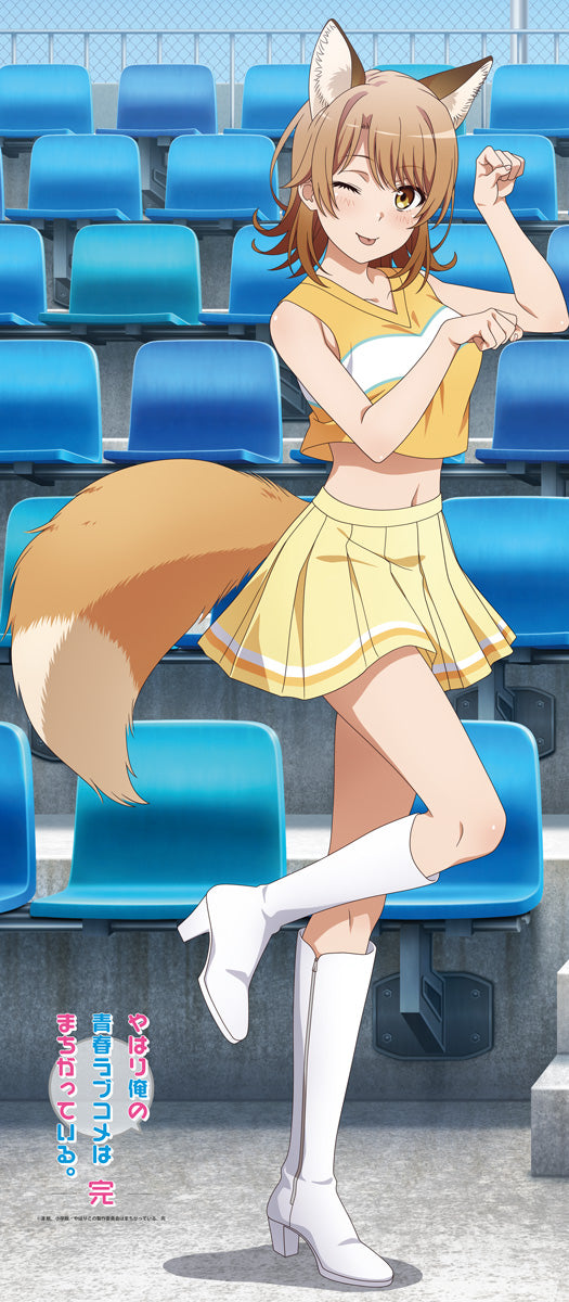 やはり俺の青春ラブコメはまちがっている。完 【描き下ろし】キラキラBIGタペストリー いろは(アニマルチア)