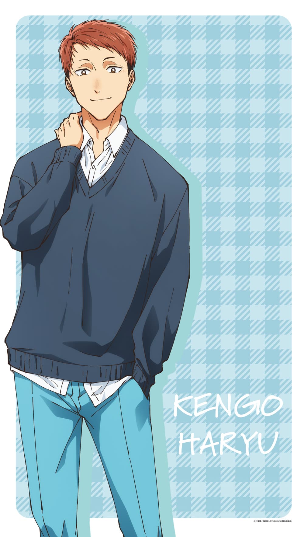 アオのハコ マルチタペストリーのれん針生健吾