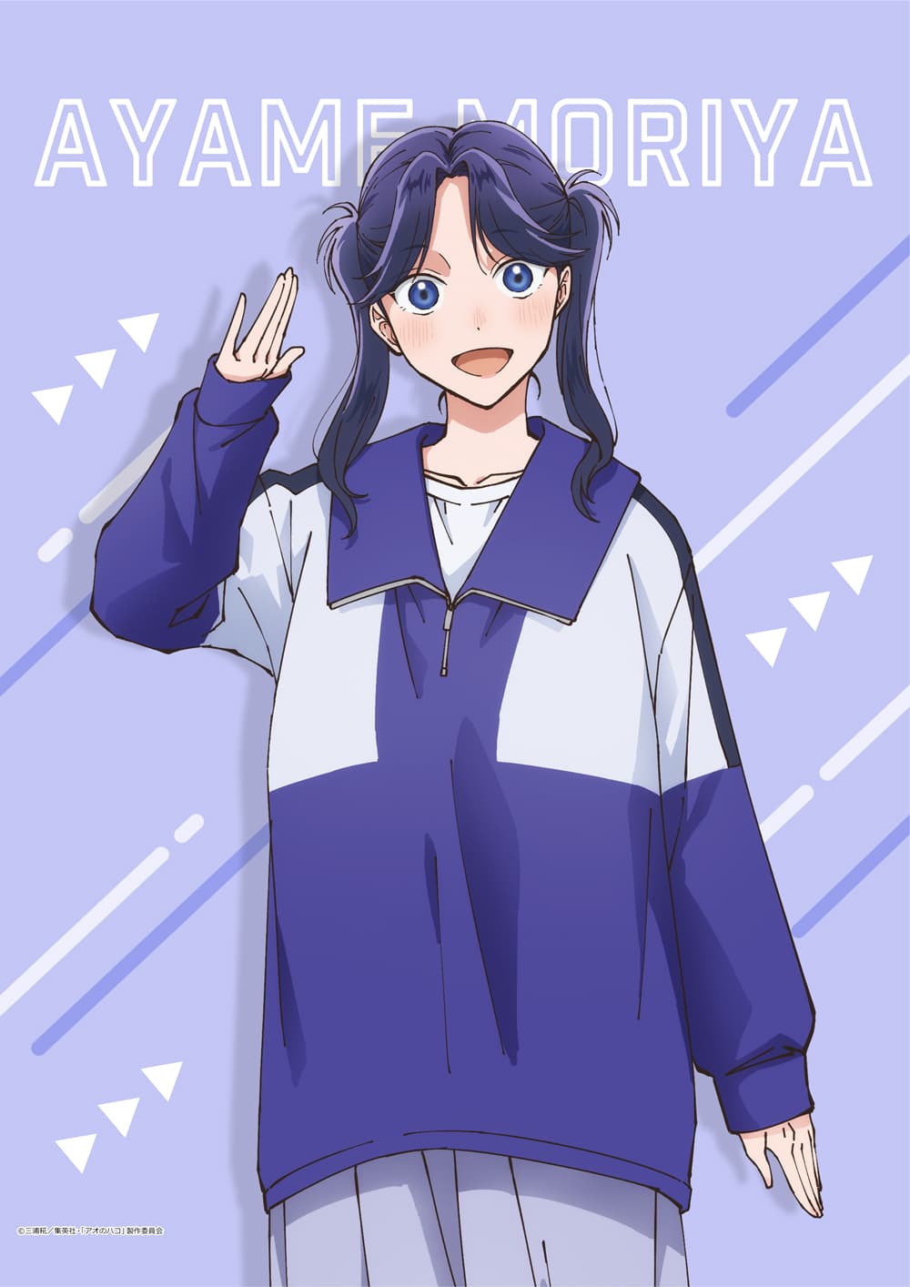 アオのハコ B2タペストリー守屋菖蒲