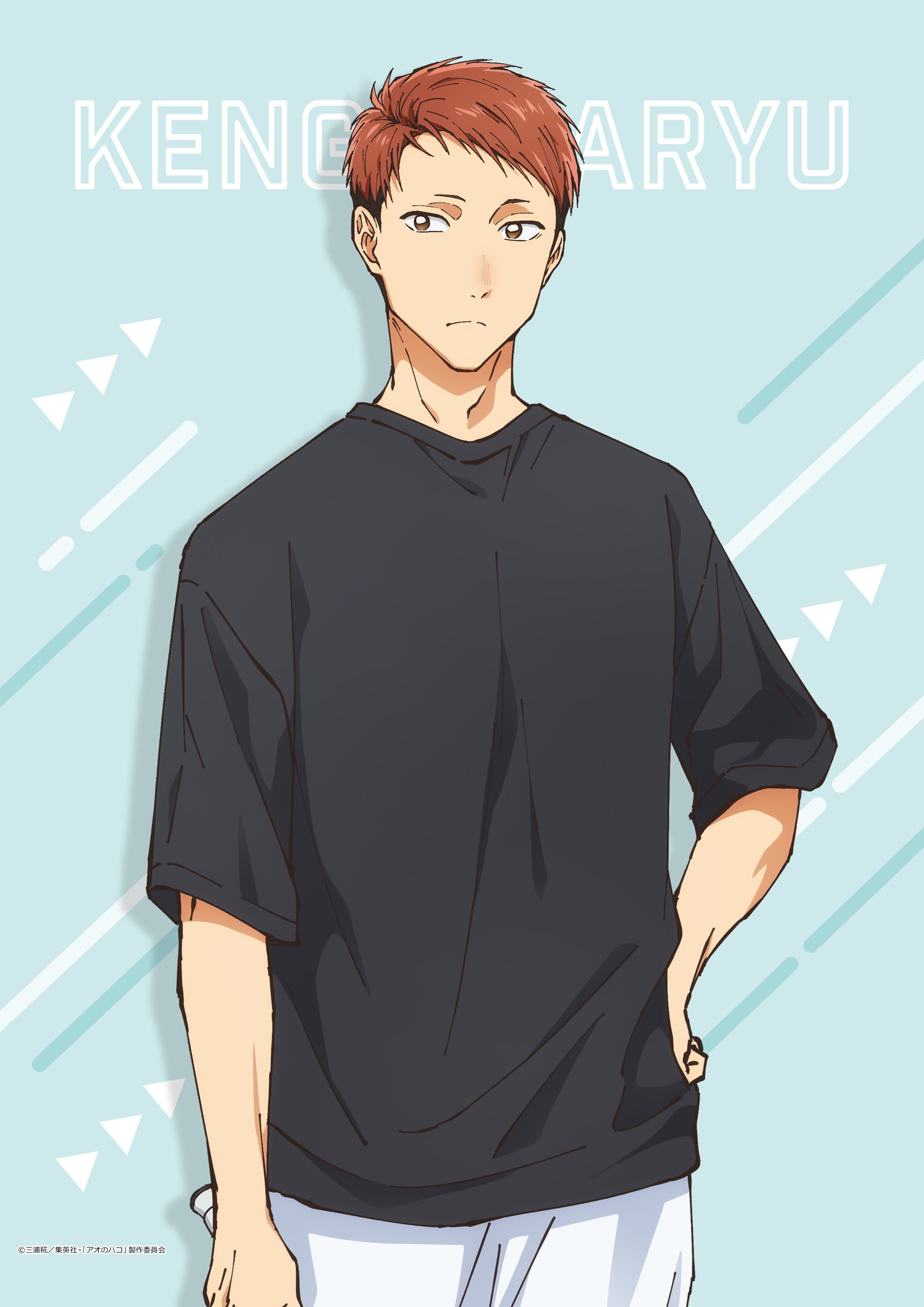 アオのハコ B2タペストリー針生健吾