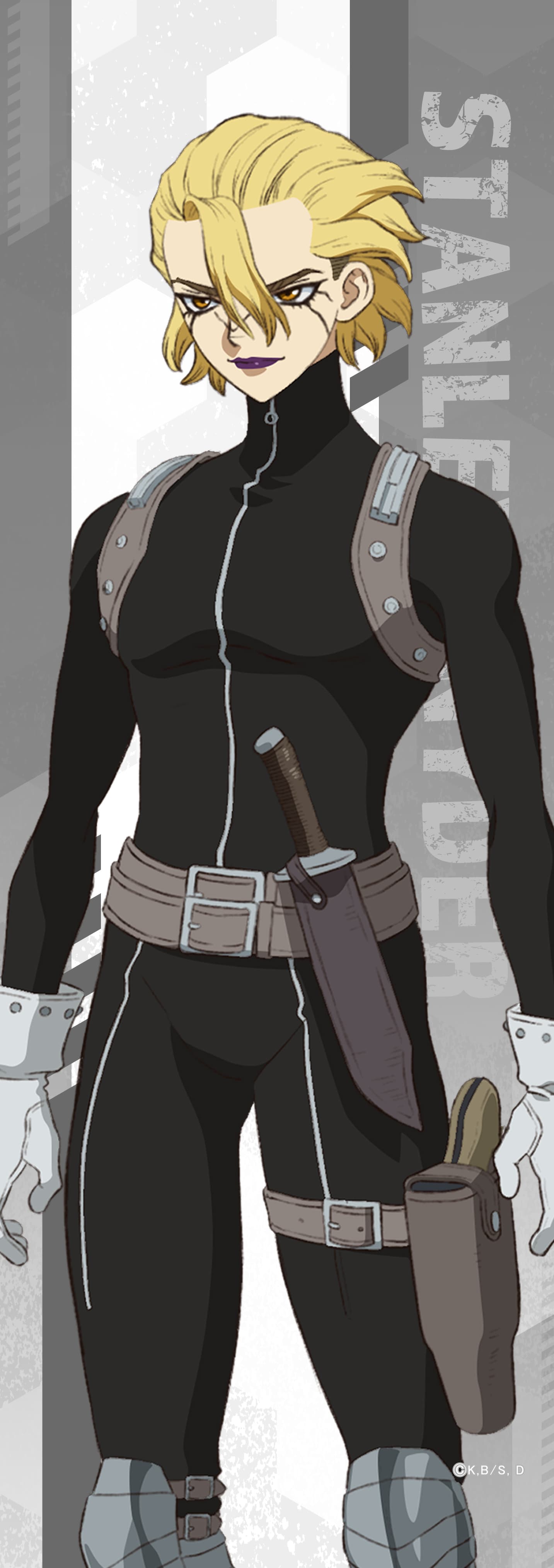 Dr.STONE ミニタペストリースタンリー・スナイダー