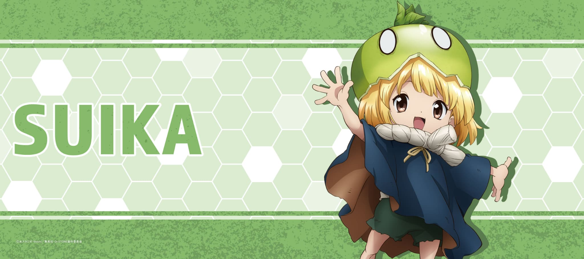 Dr.STONE スポーツタオルスイカ