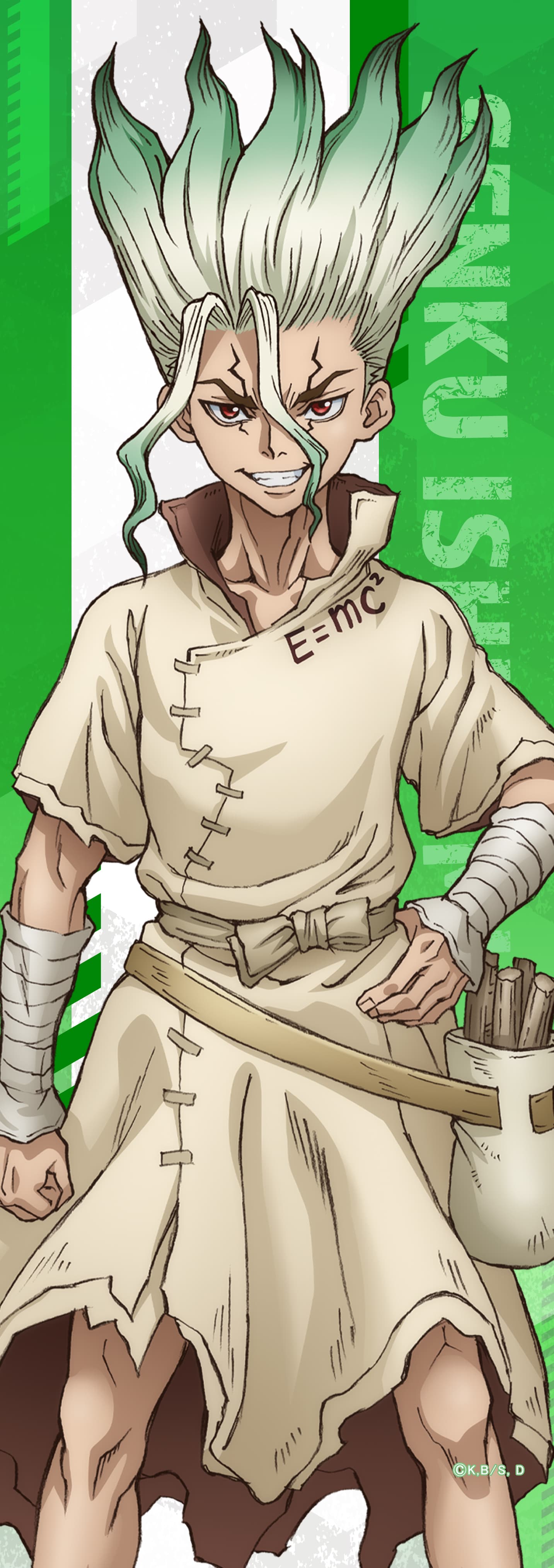 Dr.STONE ミニタペストリー石神千空