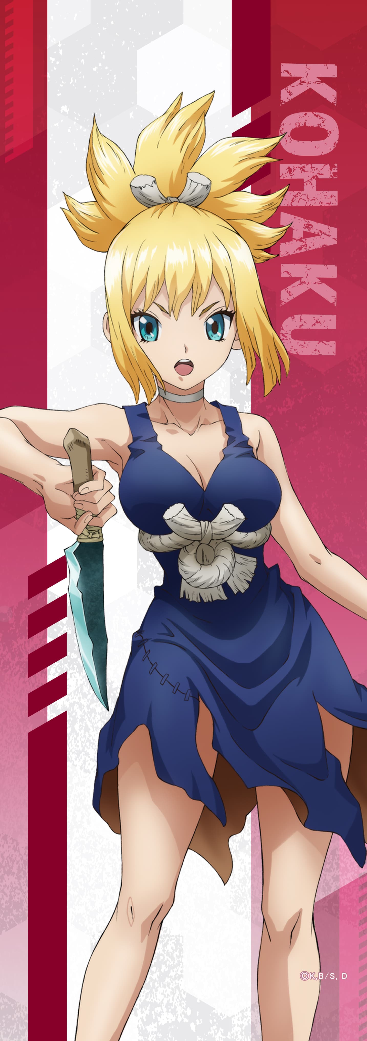 Dr.STONE ミニタペストリーコハク