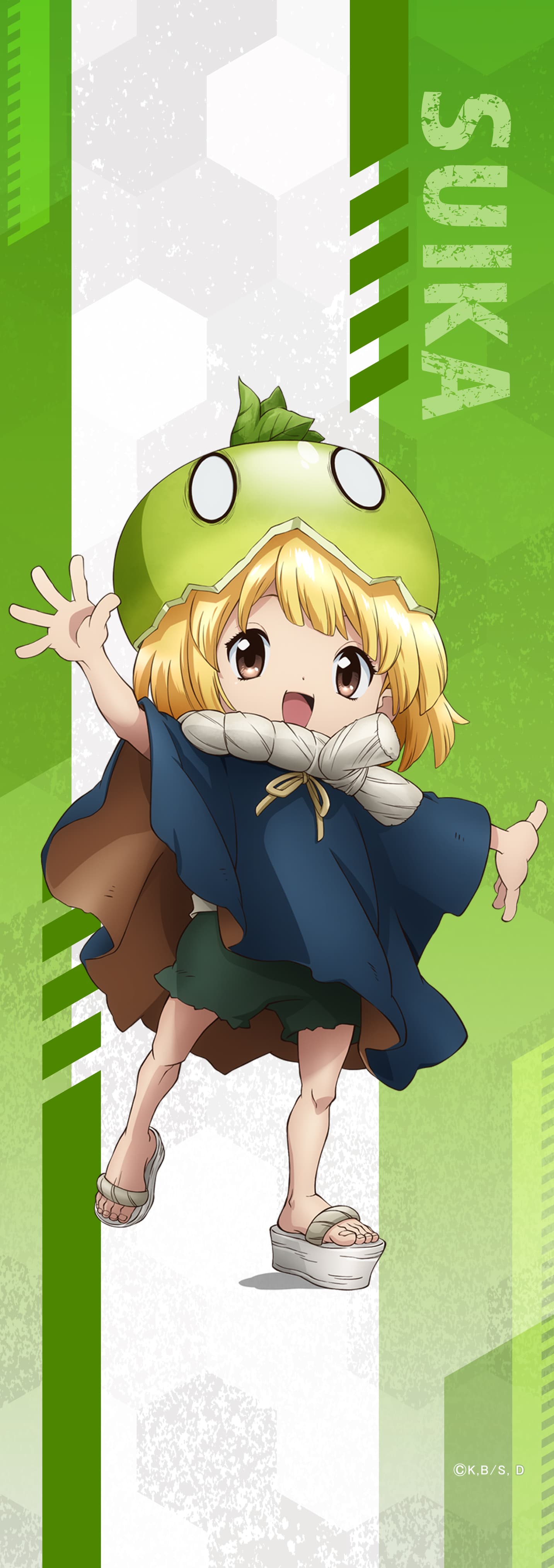 Dr.STONE ミニタペストリースイカ