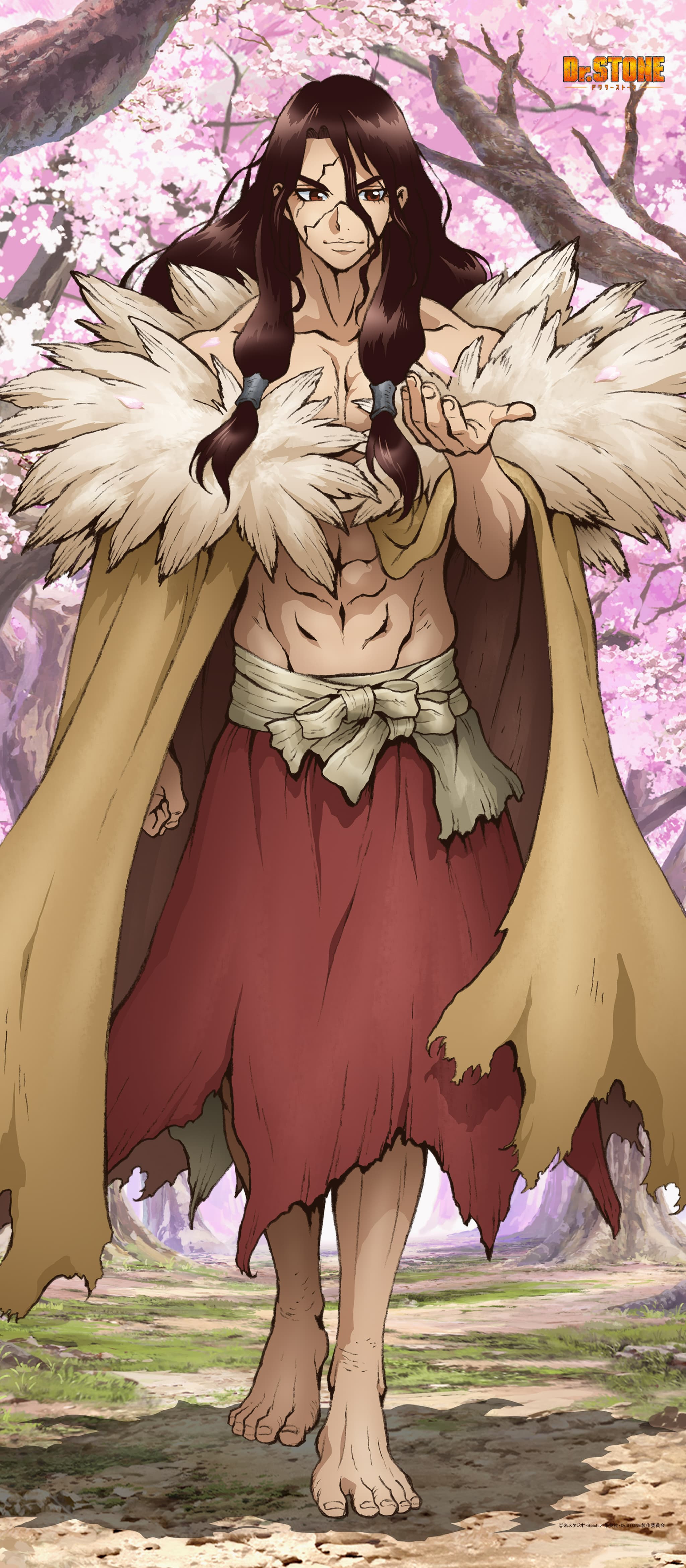 Dr.STONE 【描き下ろし】BIGタペストリー獅子王司（桜）