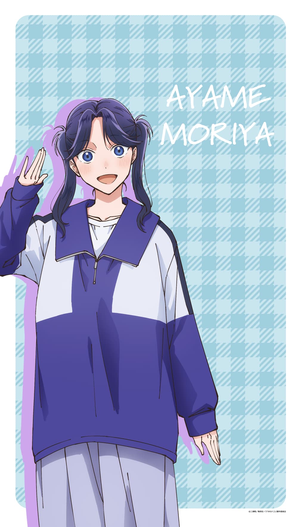 アオのハコ マルチタペストリーのれん守屋菖蒲