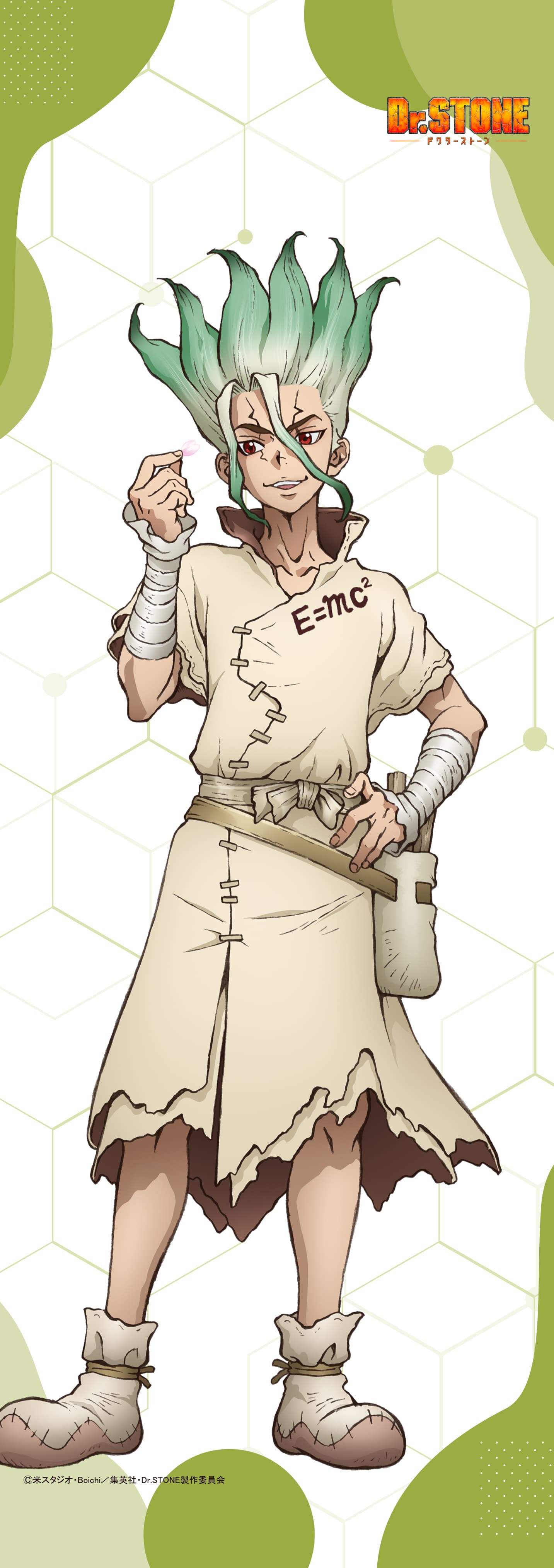 Dr.STONE 【描き下ろし】ミニタペストリー石神千空（桜）