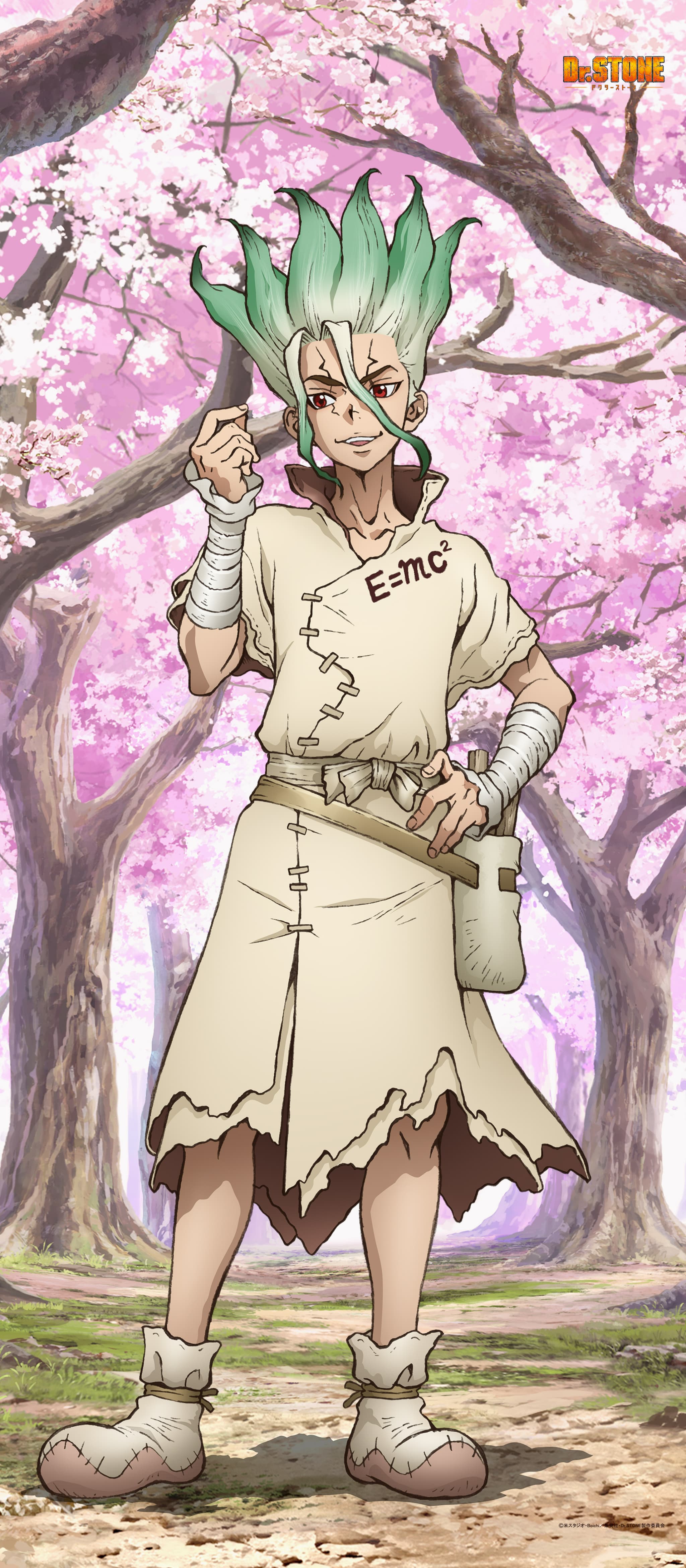 Dr.STONE 【描き下ろし】BIGタペストリー石神千空（桜）