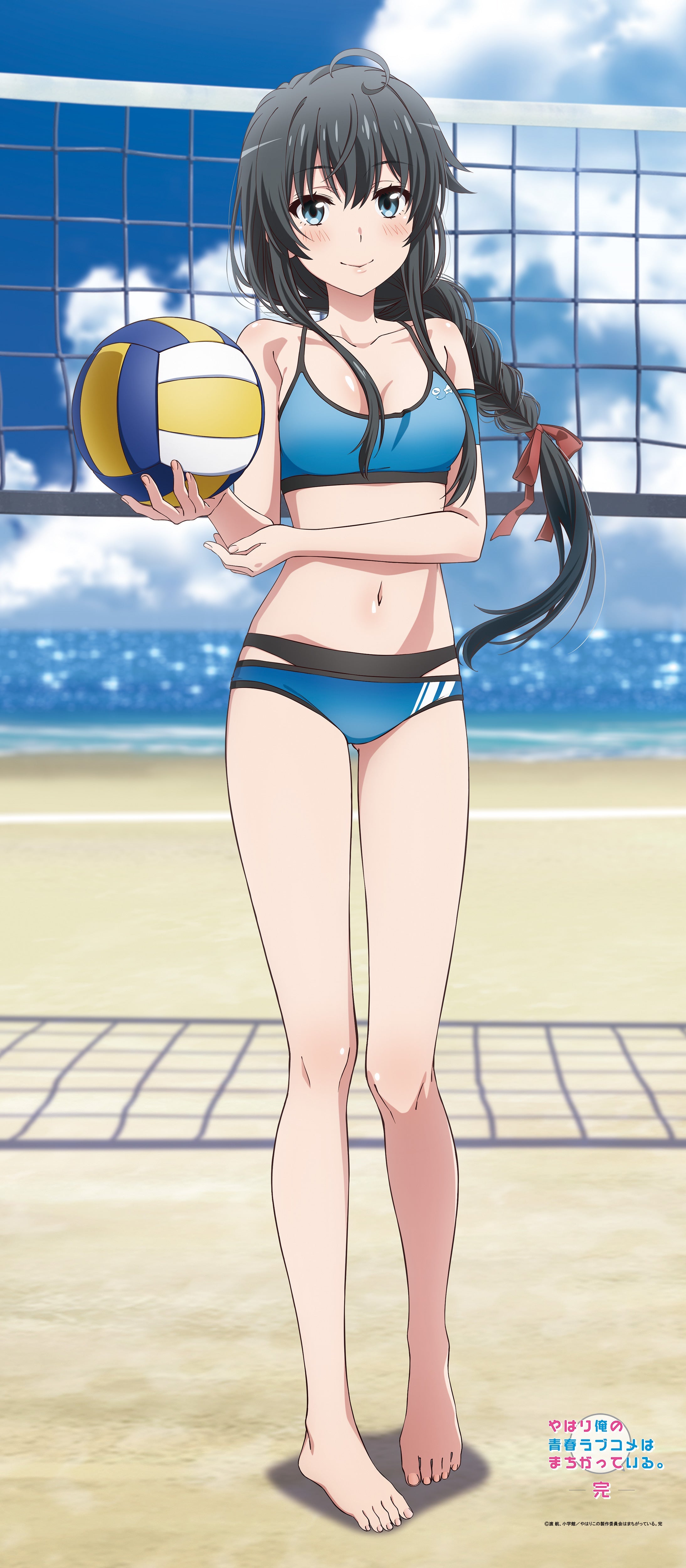 やはり俺の青春ラブコメはまちがっている。完 【描き下ろし】BIGタペストリー雪乃（ビーチバレー）