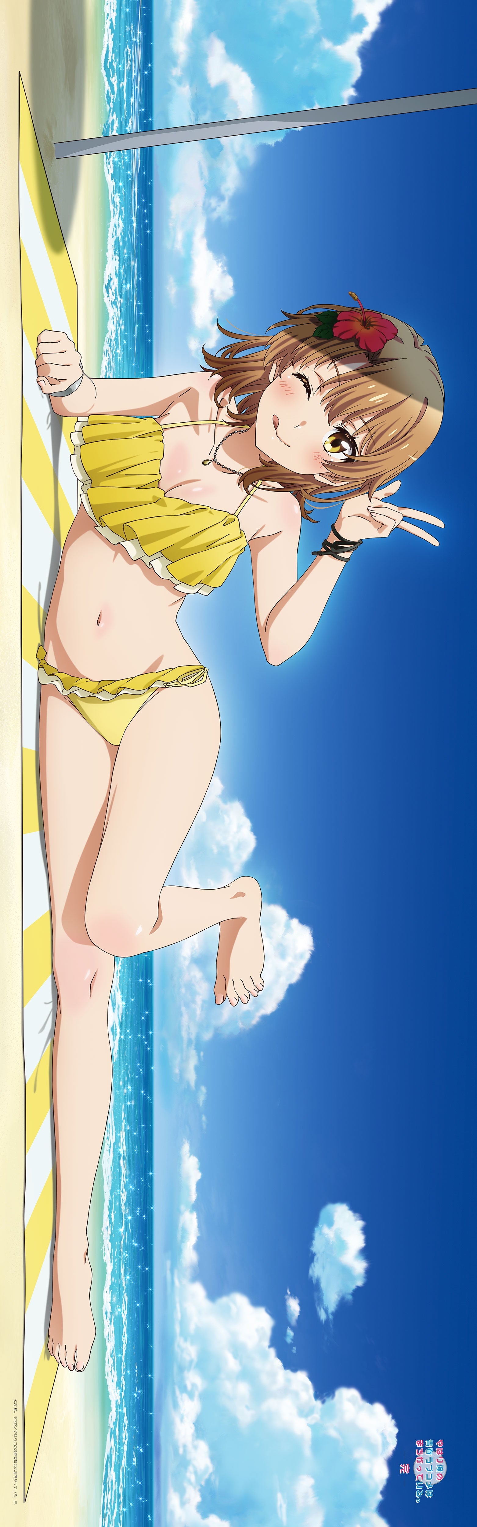 やはり俺の青春ラブコメはまちがっている。完 【描き下ろし】プレミアム抱き枕カバー一色いろは(水着)