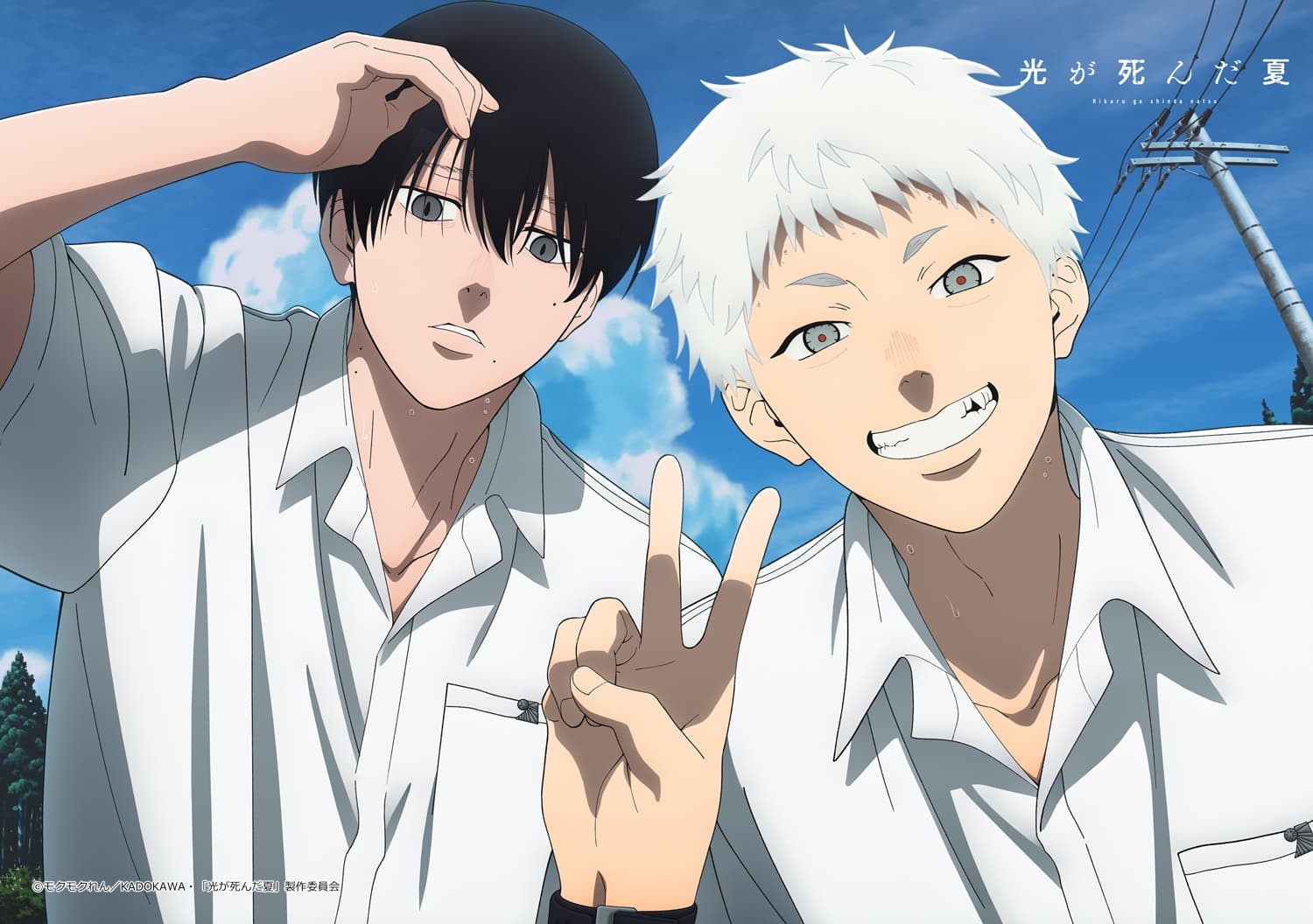 光が死んだ夏 A3布ポスター A