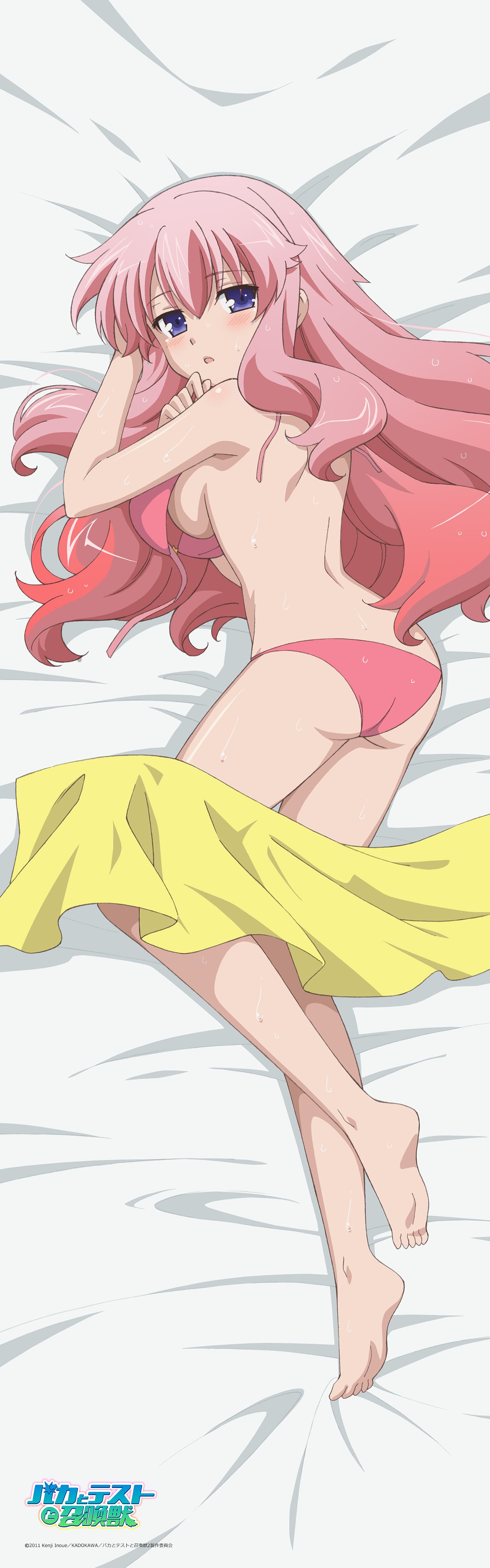 To LOVEる とらぶる バカとテストと召喚獣 モモ 姫路瑞希 2種類12個