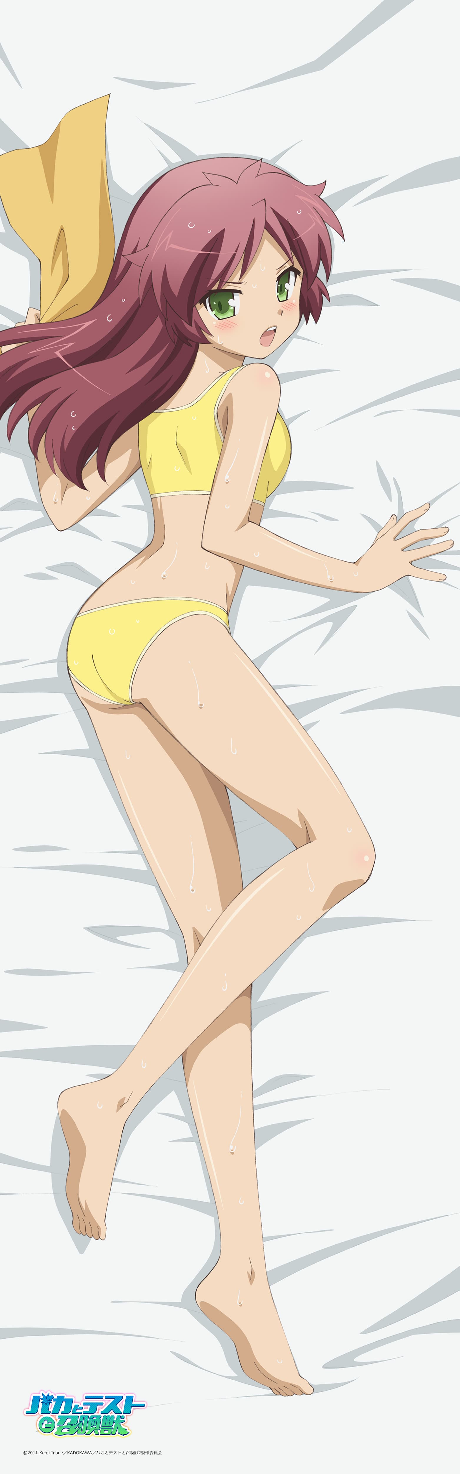 バカとテストと召喚獣 【描き下ろし】抱き枕カバー（島田美波/水着）