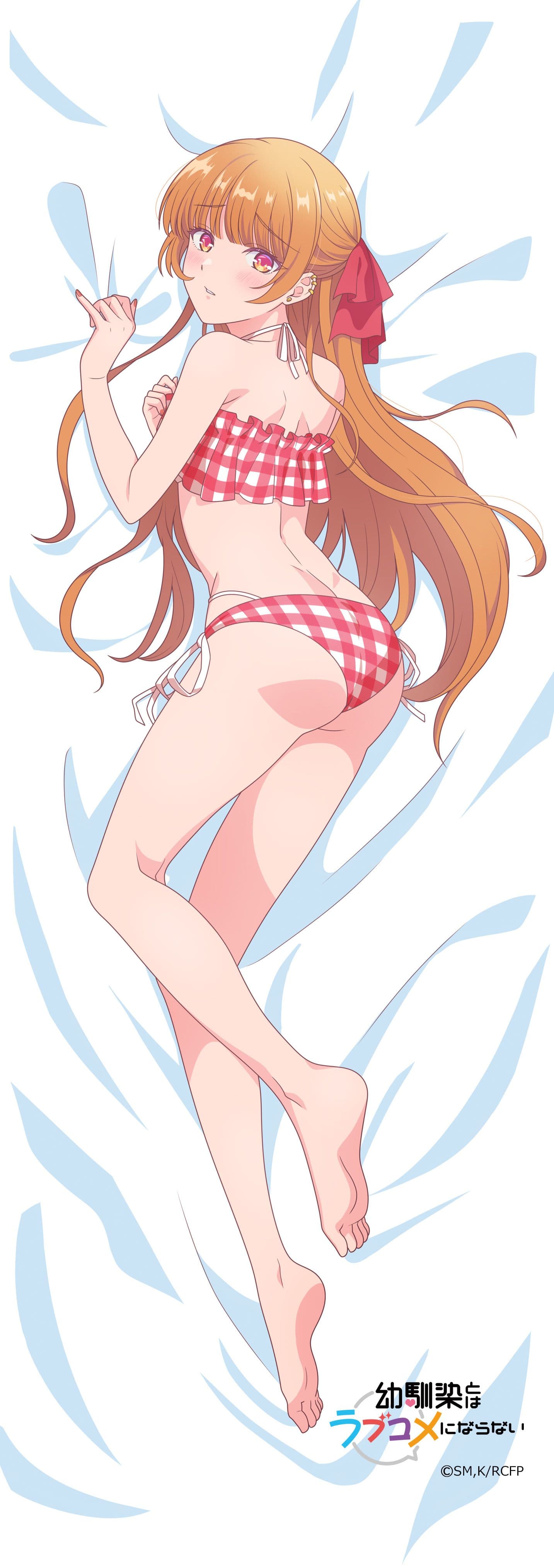 幼馴染とはラブコメにならない　【描き下ろし】ミニタペストリー　火威灯