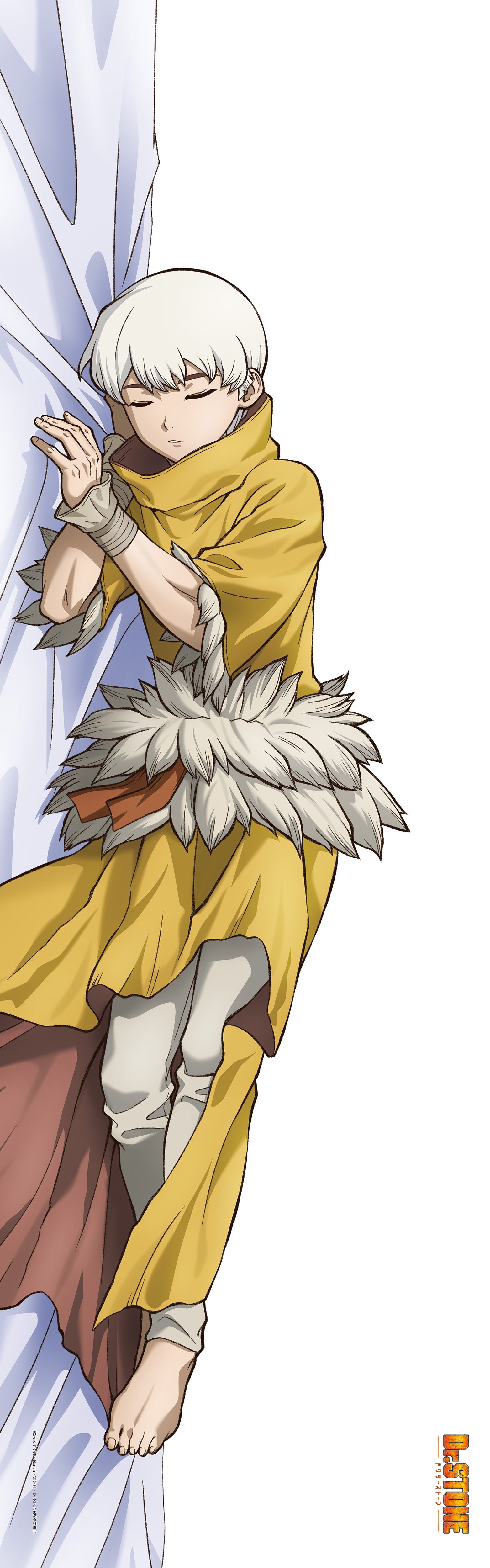Dr.STONE【描き下ろし】プレミアム抱き枕カバー　西園寺羽京