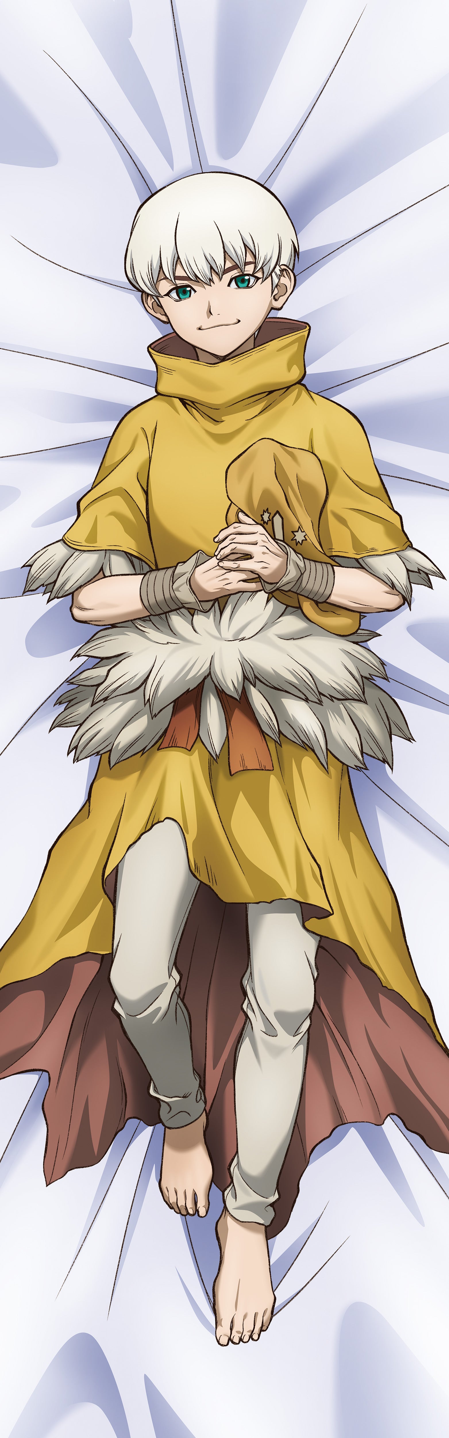 Dr.STONE【描き下ろし】プレミアム抱き枕カバー　西園寺羽京