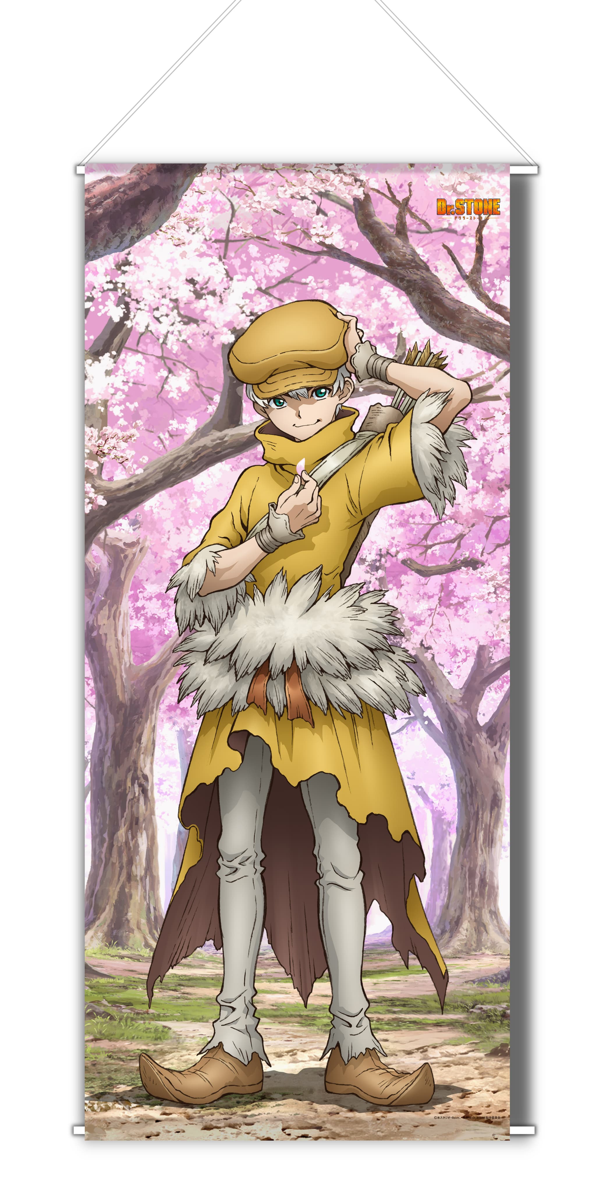 Dr.STONE 【描き下ろし】BIGタペストリー西園寺羽京（桜）