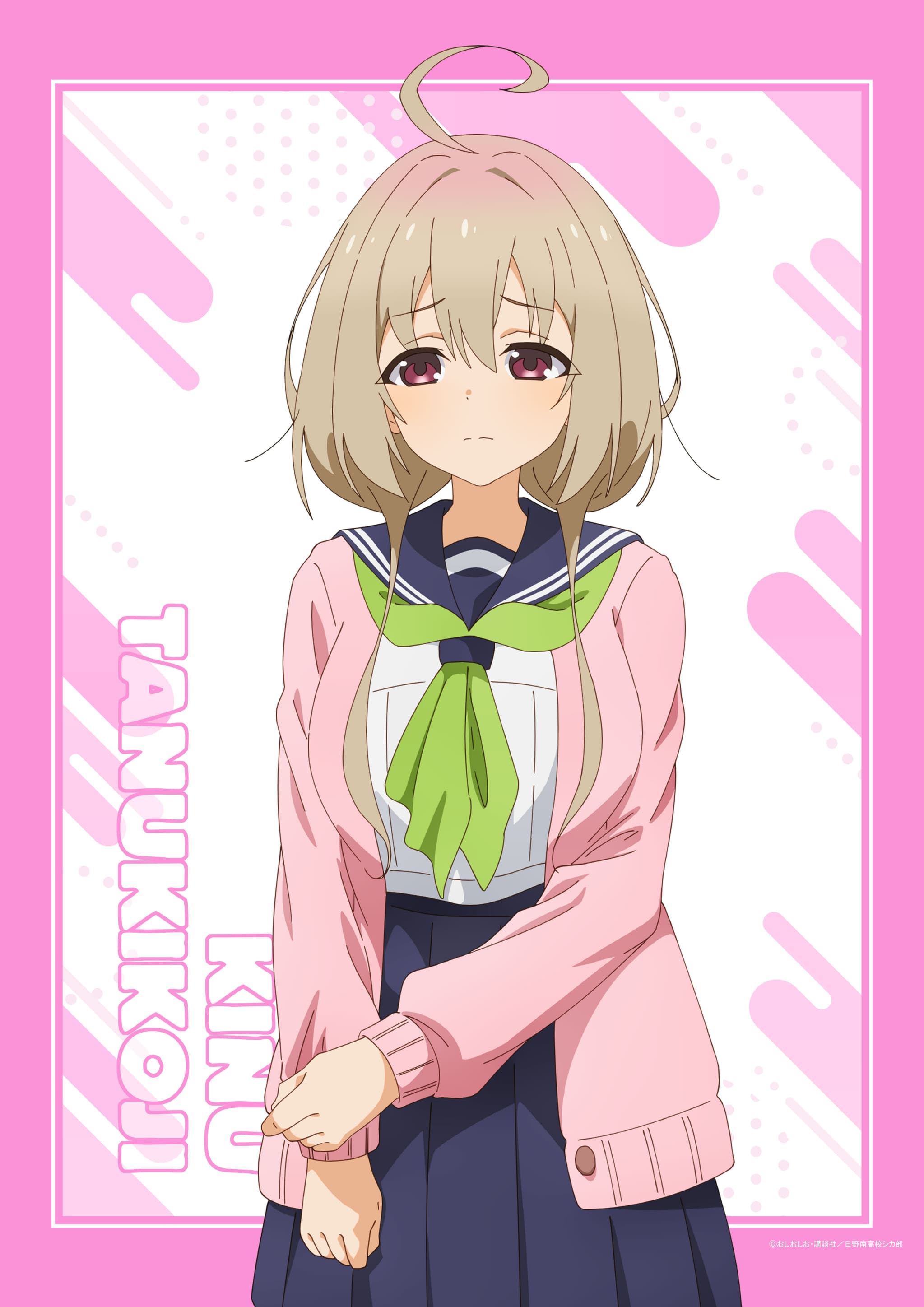 しかのこのこのここしたんたん B2タペストリー狸小路絹