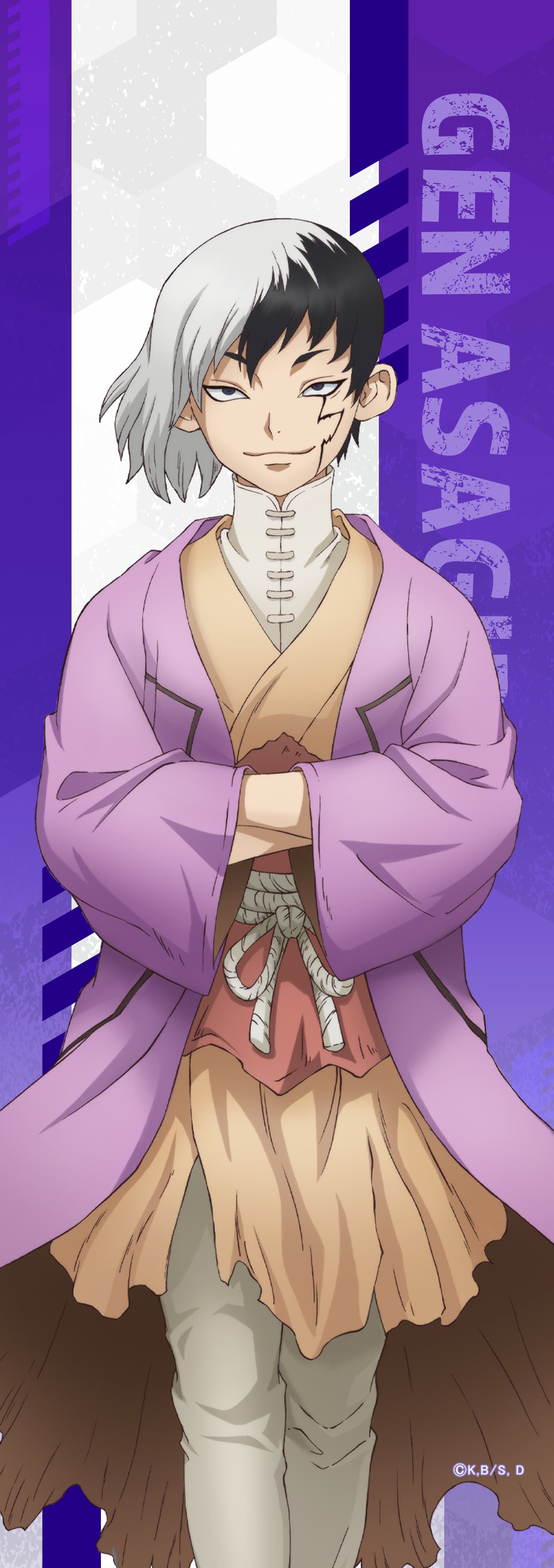 Dr.STONE ミニタペストリーあさぎりゲン