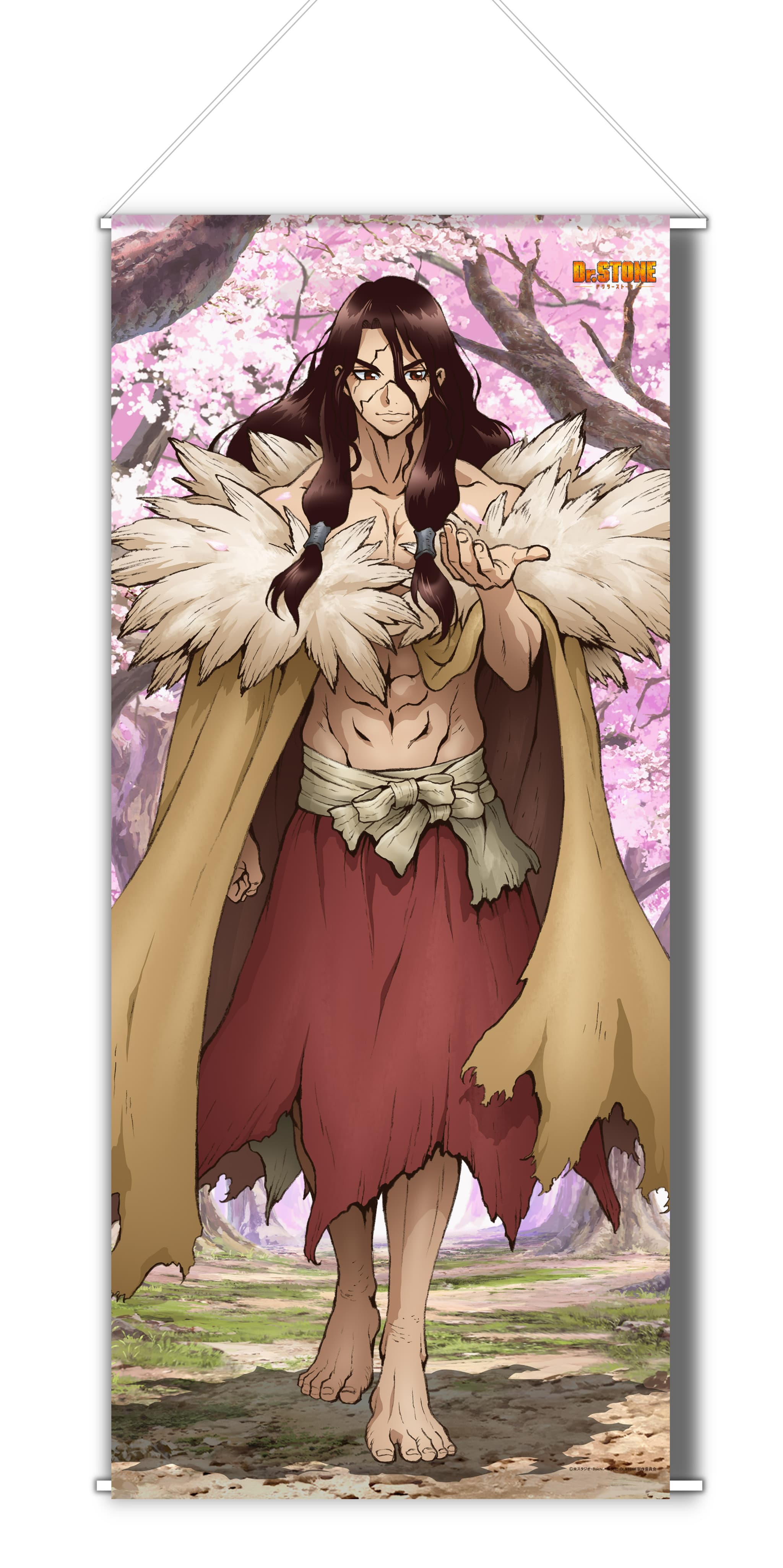 Dr.STONE 【描き下ろし】BIGタペストリー獅子王司（桜）